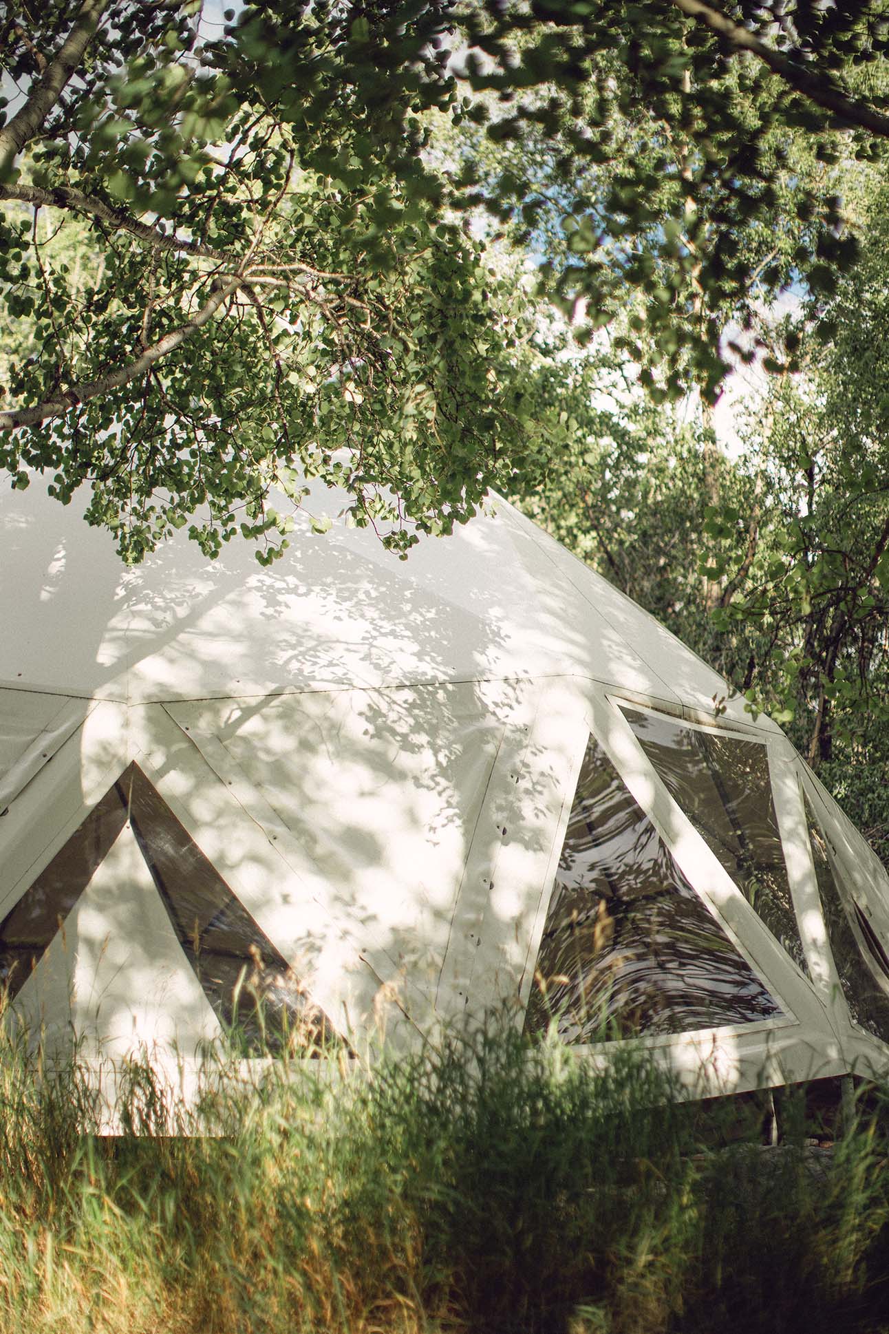 a white tent in the woods