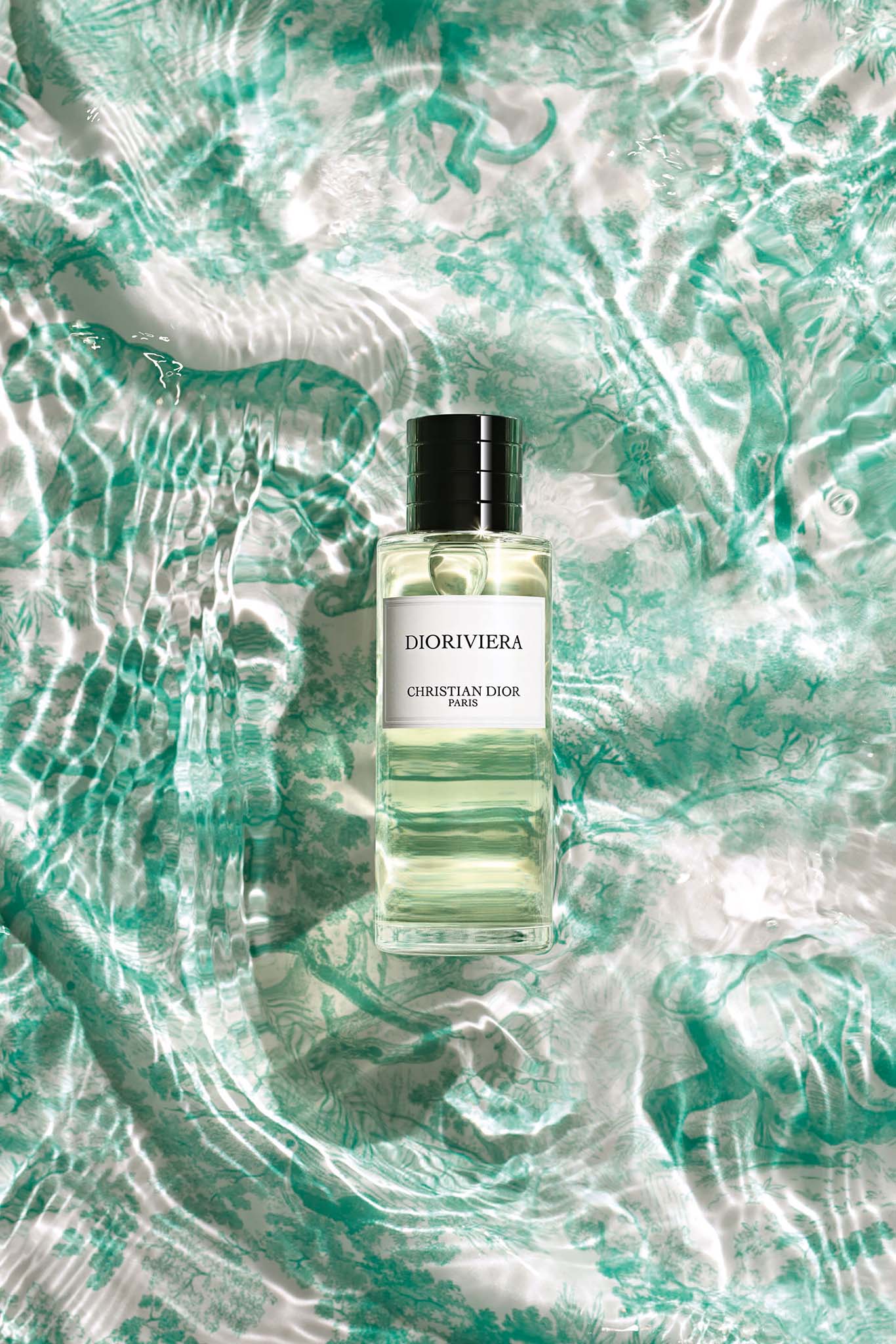 dior riviera